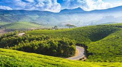 Ooty - Kodaikanal- Munnar - Thekkady Tour