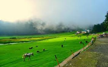 Dharamshala Hill Station Tour