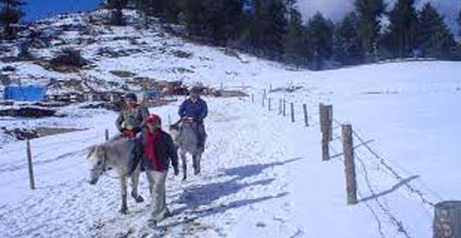 Exotic Shimla Tour Package By Volvo Tour