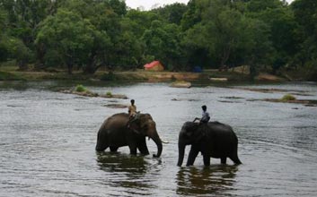 Coorg Mysore Ooty Tour