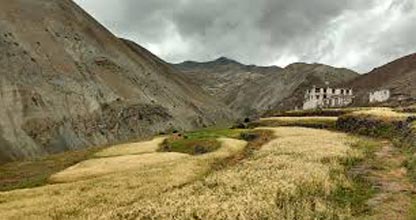 4 Days Ladakh Trekking Tour