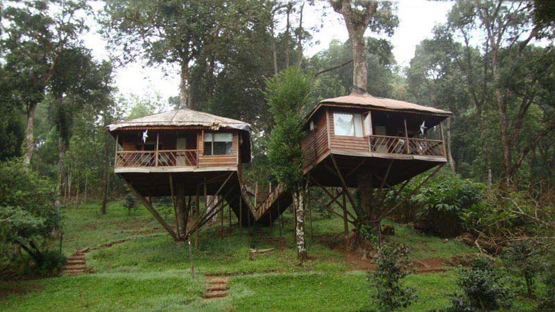 Wayanad Tour With Vythiri Treehouse Package