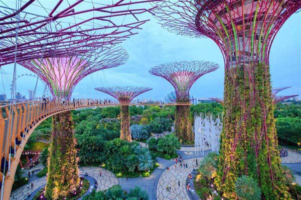 Amazing Singapore  Trip Package