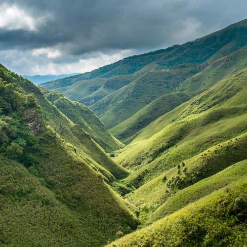 Dzukou valley Trek Package