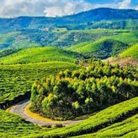 Coonoor With Ooty  Tour