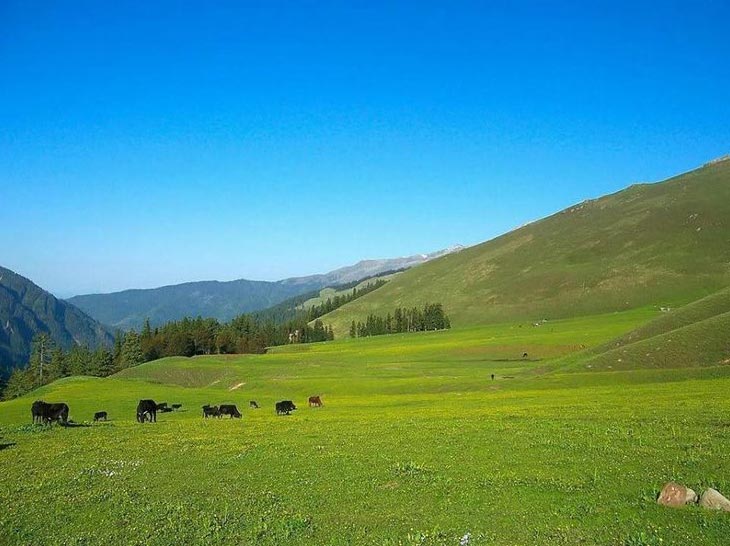 Road Less Travelled (Chandernahan Lakes Exploration) Tour