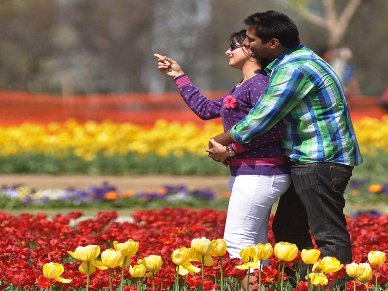 Romantic Honeymoon In Kashmir Tour