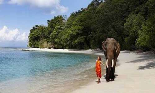 07 Days Andaman Trip