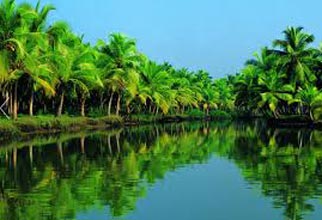 11 Days 10 Nights Glimpse Of Kerala Package