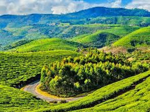 OOTY WITH COORG - EX BANGALORE - 4N/5D