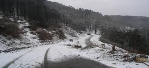 Shimla Tour With Kufri