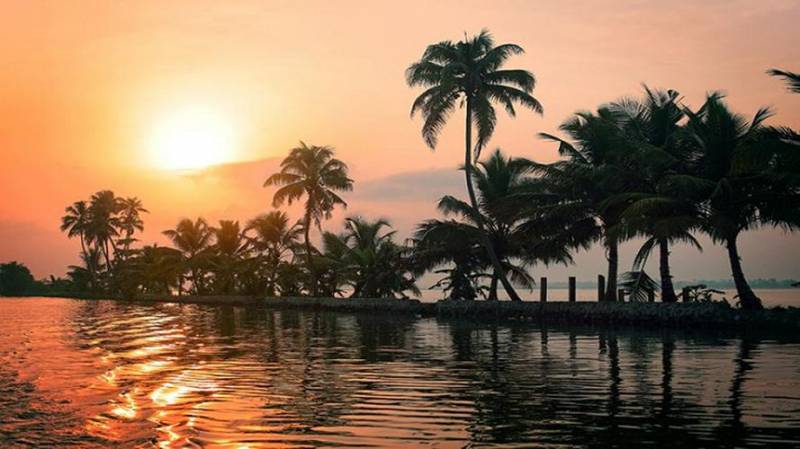 Quick Tour Of Kerala In 4 Days - Munnar - Alleppey