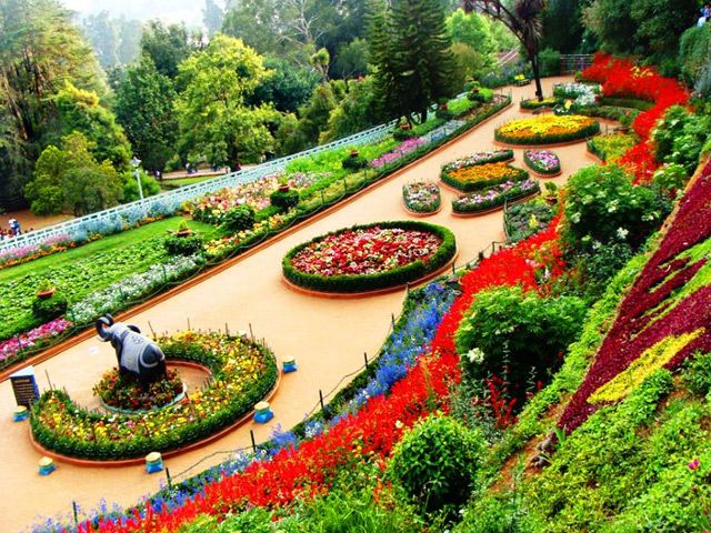Ooty - Coorg - Nagarhole From Bangalore Image