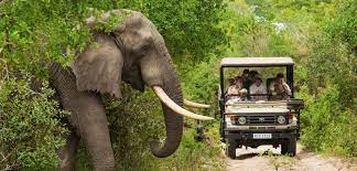 Coorg - Nagarhole Leisure Tour From Bangalore