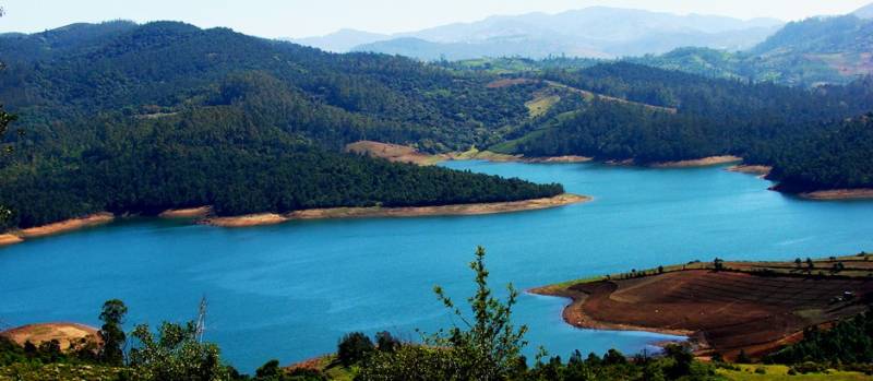 Ooty - Mudumalai In 2 Days From Ooty