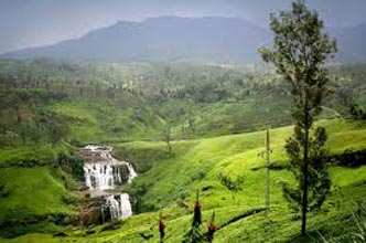 Sri Lanka Delights Tour