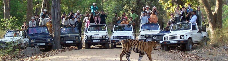 Jim Corbett Safari Tour 2N 3D