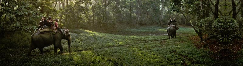 Nainital Corbett Kausani Tour 6N 7D