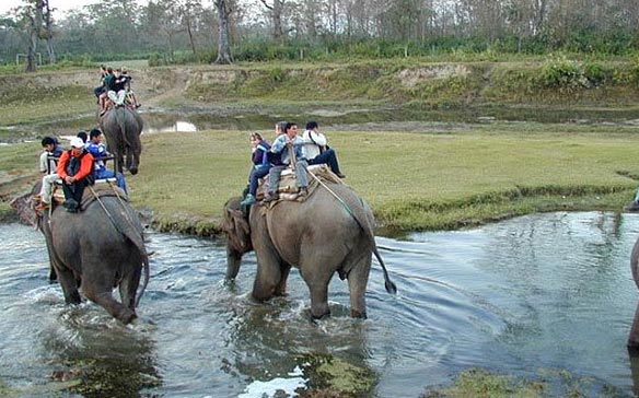 Nainital Corbett Kausani Tour 6N 7D