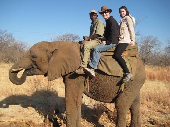 Elephant Viewing Tour