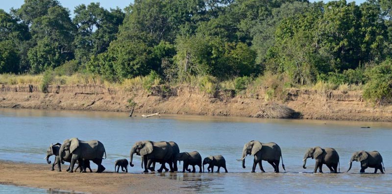 Chobe Day Trip Tour