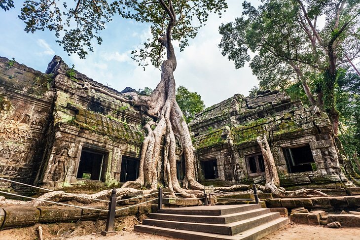Siem Reap & Phnom Penh – Rober F