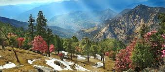 Alluring Uttarakhand Tour