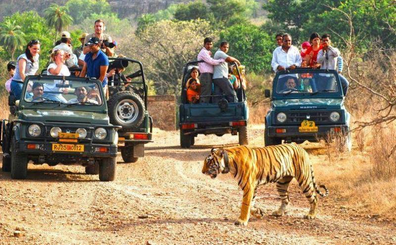 Corbett Wildlife Tour