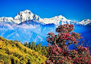 The Best Of Nepal Tour
