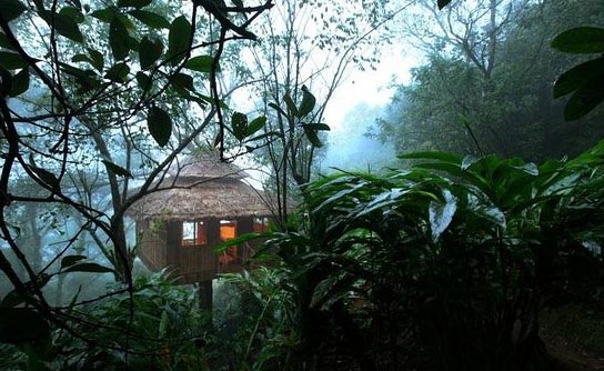 3 Days Periyar Tour With Treehouse