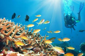 Andaman Trip Tour