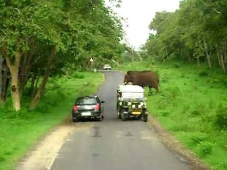 Coimbatore - Ooty Tour