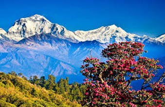 Nepal Package (5 Nights / 6 Days) Tour