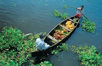 3N/4D Kerala  Package