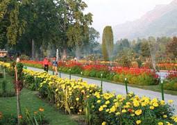 Panorama Of Kashmir Tour