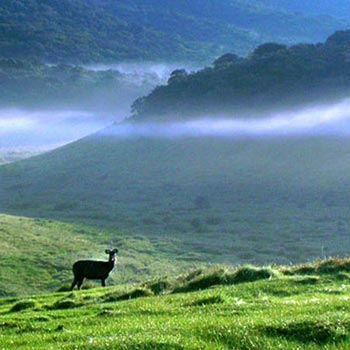 Experience the Island Tour