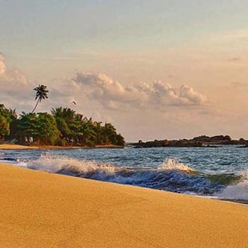 Experience the Island Tour