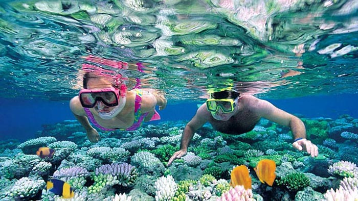 Snorkeling Andaman Tour Package