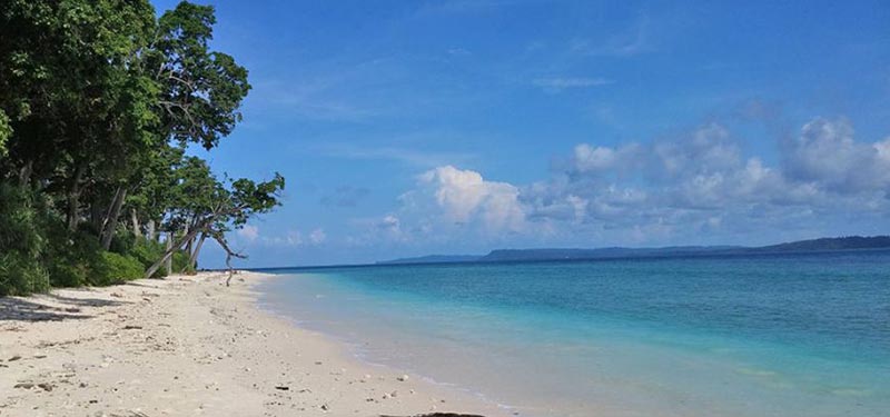 Andaman Island Delight Package