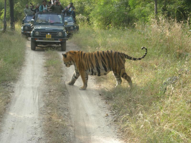 Royal Rajasthan Tour