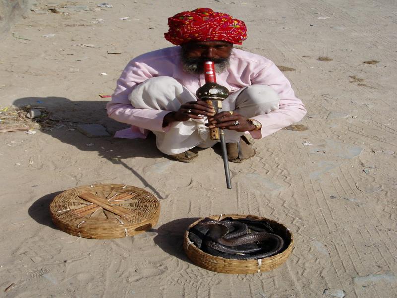 Rajasthan Heritage Tour