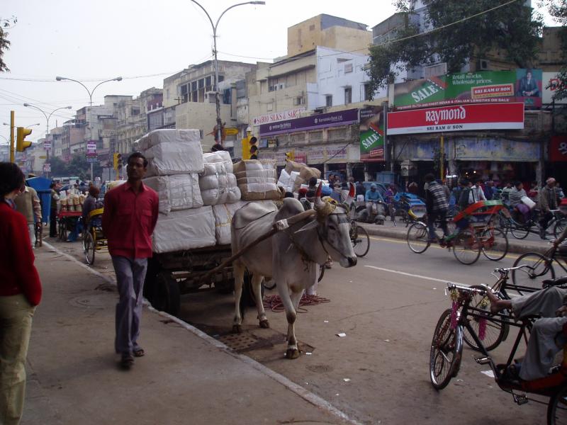 Amazing Rajasthan Tour