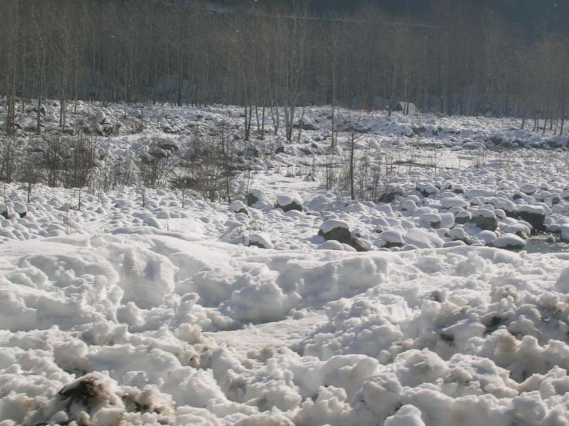 Golden Triangle Tour With Kullu, Manali