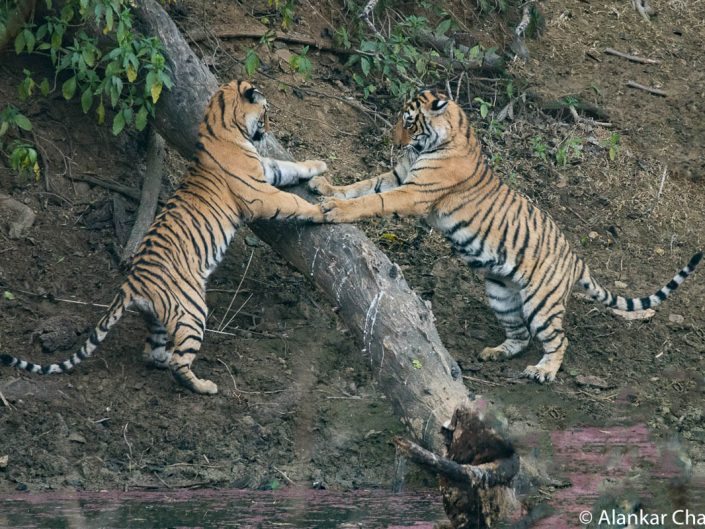 All Rajasthan Tour Heritage - Agra - Orchha - Khajuraho - Varanasi