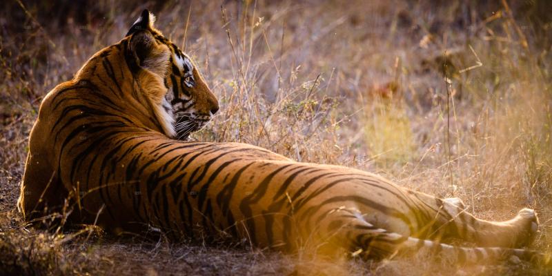 Rajasthan Tour Heritage - Agra - Orchha - Khajuraho - Varanasi