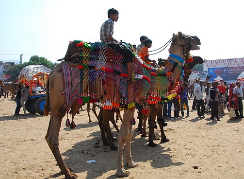 Rajasthan Deluxe Tour