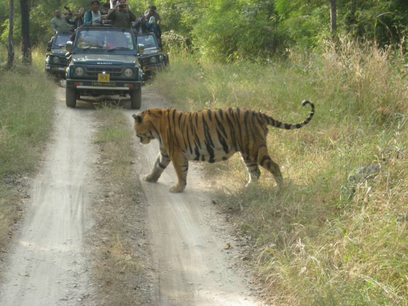 Amazing Rajasthan Tour