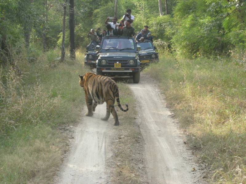 All Rajasthan Tour Heritage - Agra - Orchha - Khajuraho - Varanasi