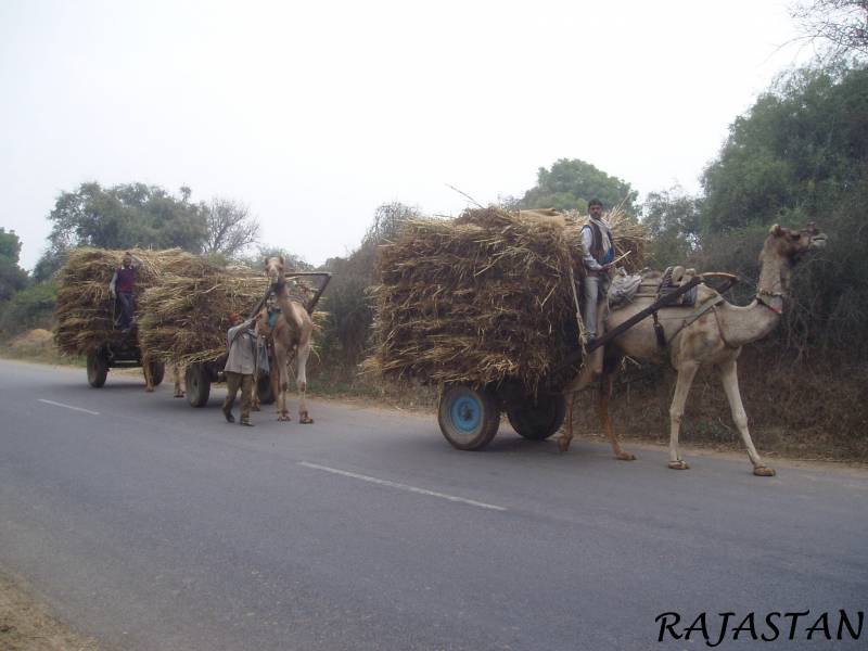 Rajasthan Tour Heritage - Agra - Orchha - Khajuraho - Varanasi