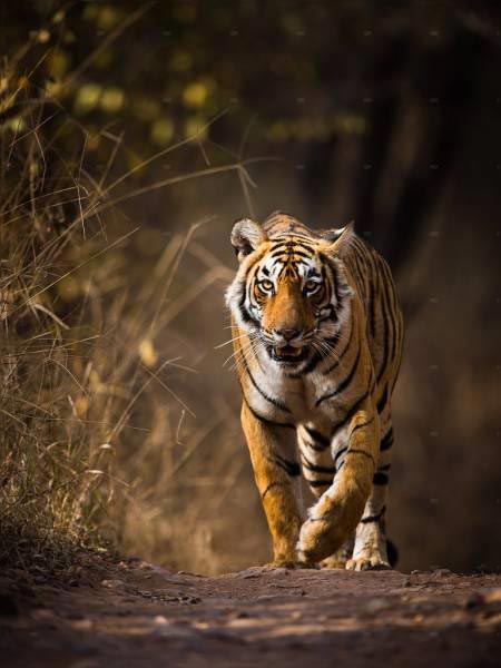 Rajasthan Tour Heritage - Agra - Orchha - Khajuraho - Varanasi